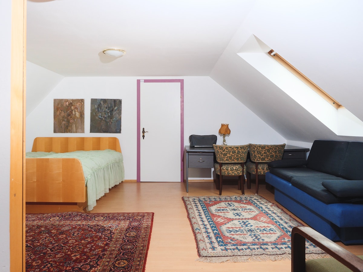 Lovely attic apartment for 3 people