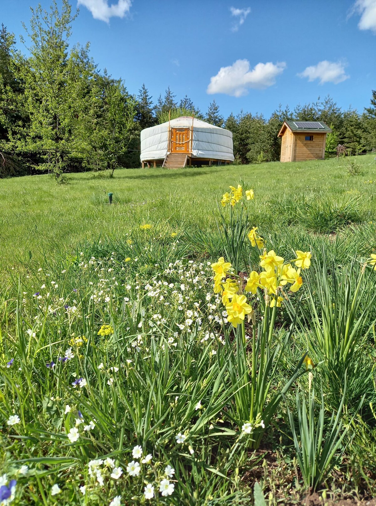 Yourte mongole pour nuitée sur une base écologique