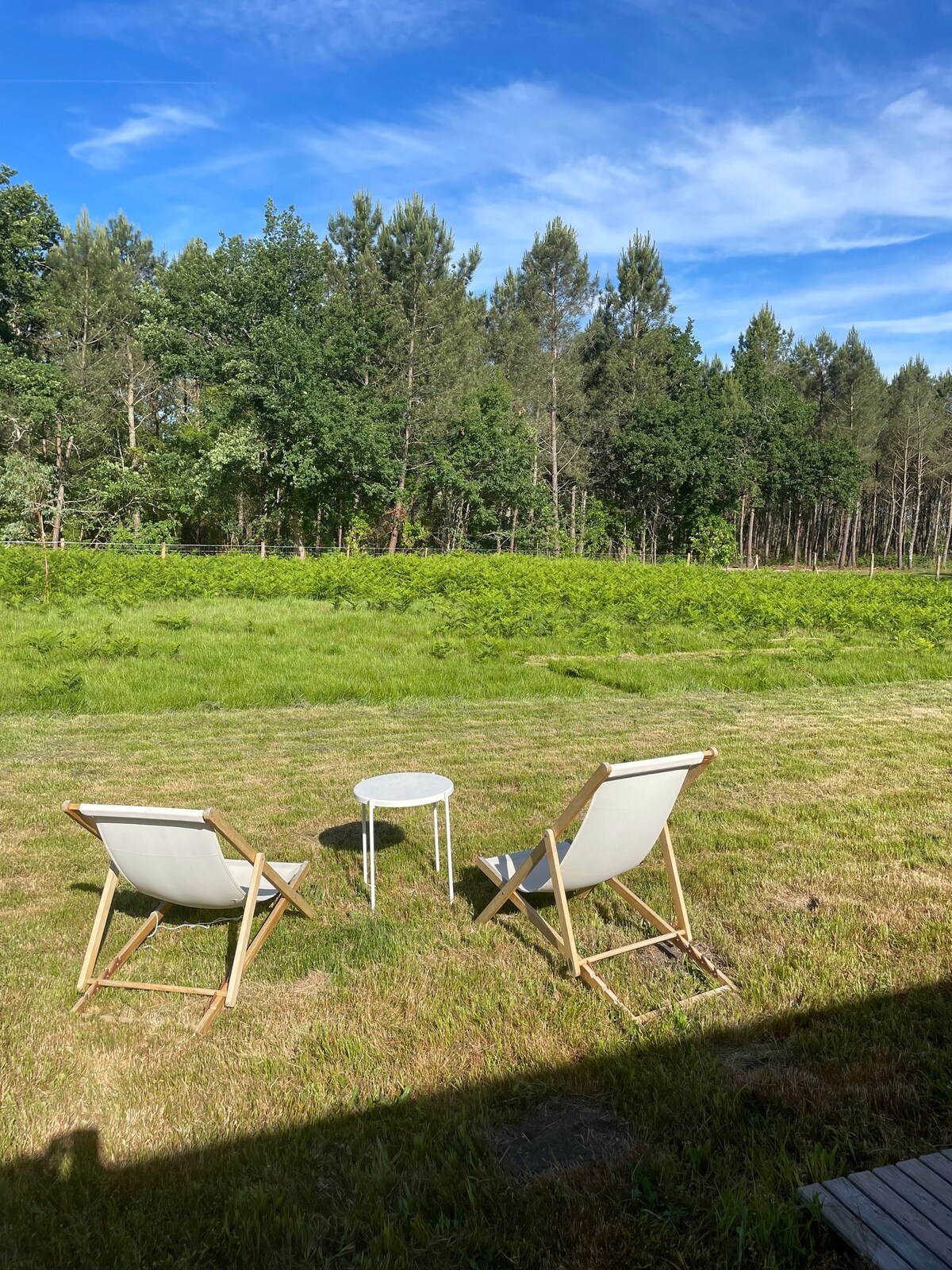 Maison en lisière de forêt des Landes proche océan