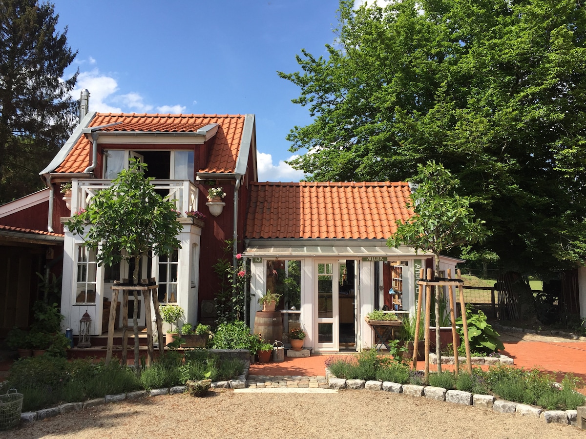 Organic house on natural farm