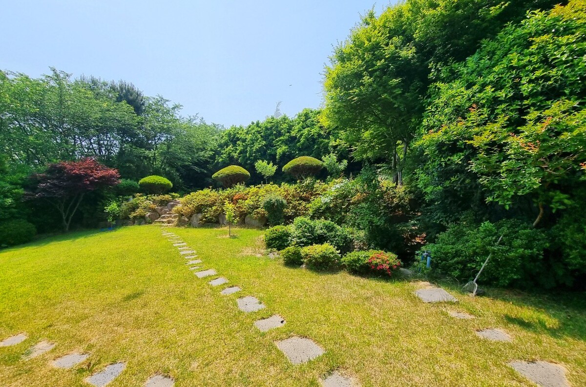 从Yeosu海到绿色花园的烧烤，再到鲜花的声音……