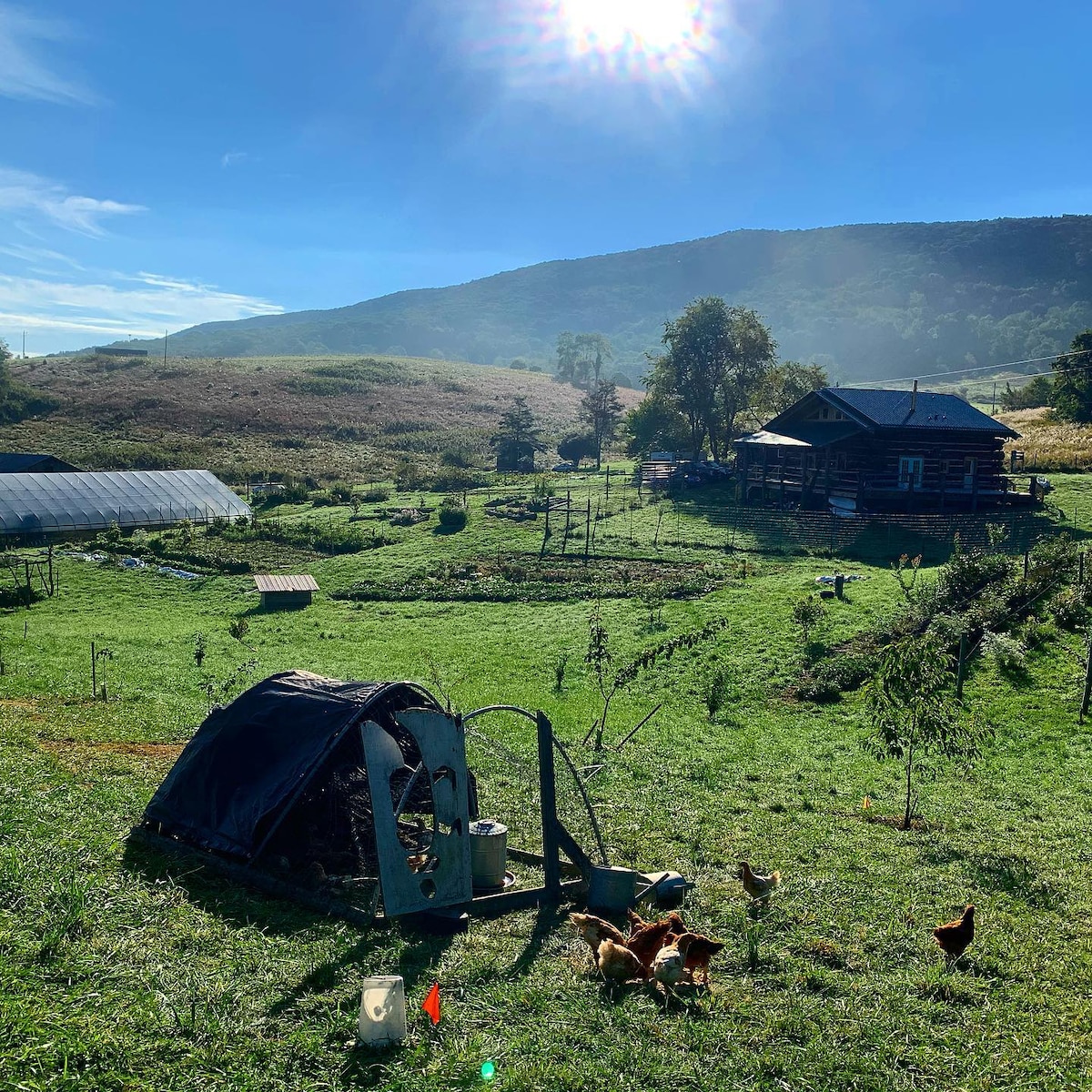 Tiny house farm stay, minutes to AppalachianTrail!