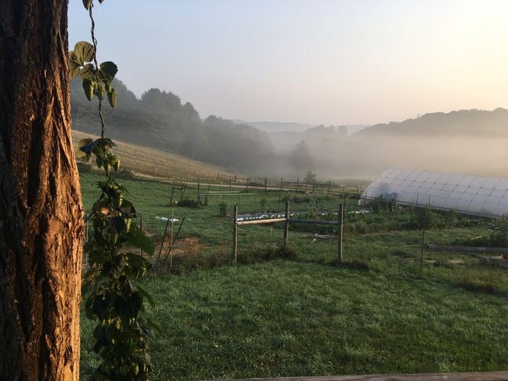 Tiny house farm stay, minutes to AppalachianTrail!