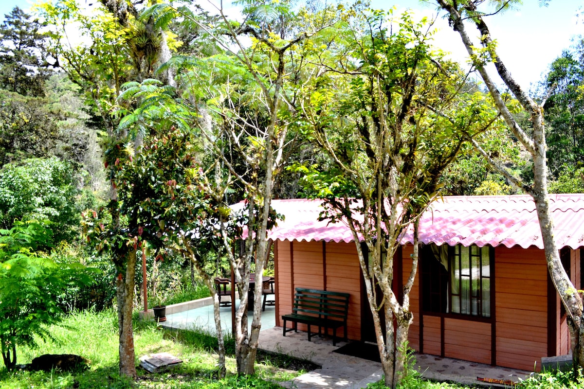 Hermosa cabaña junto al rio muy cerca del pueblo