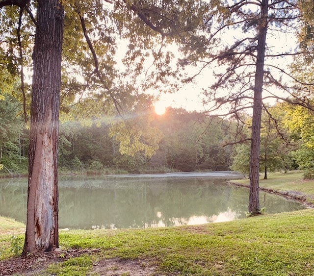 Pap 's Place in the Lake