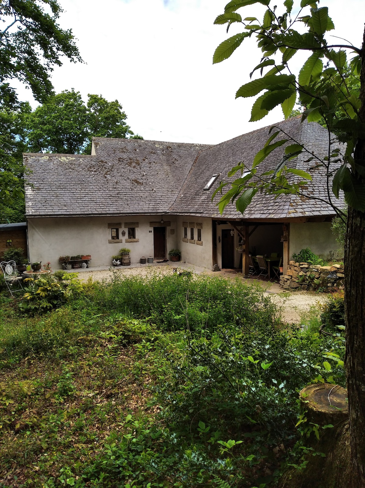 Maison dans un terrain boisé