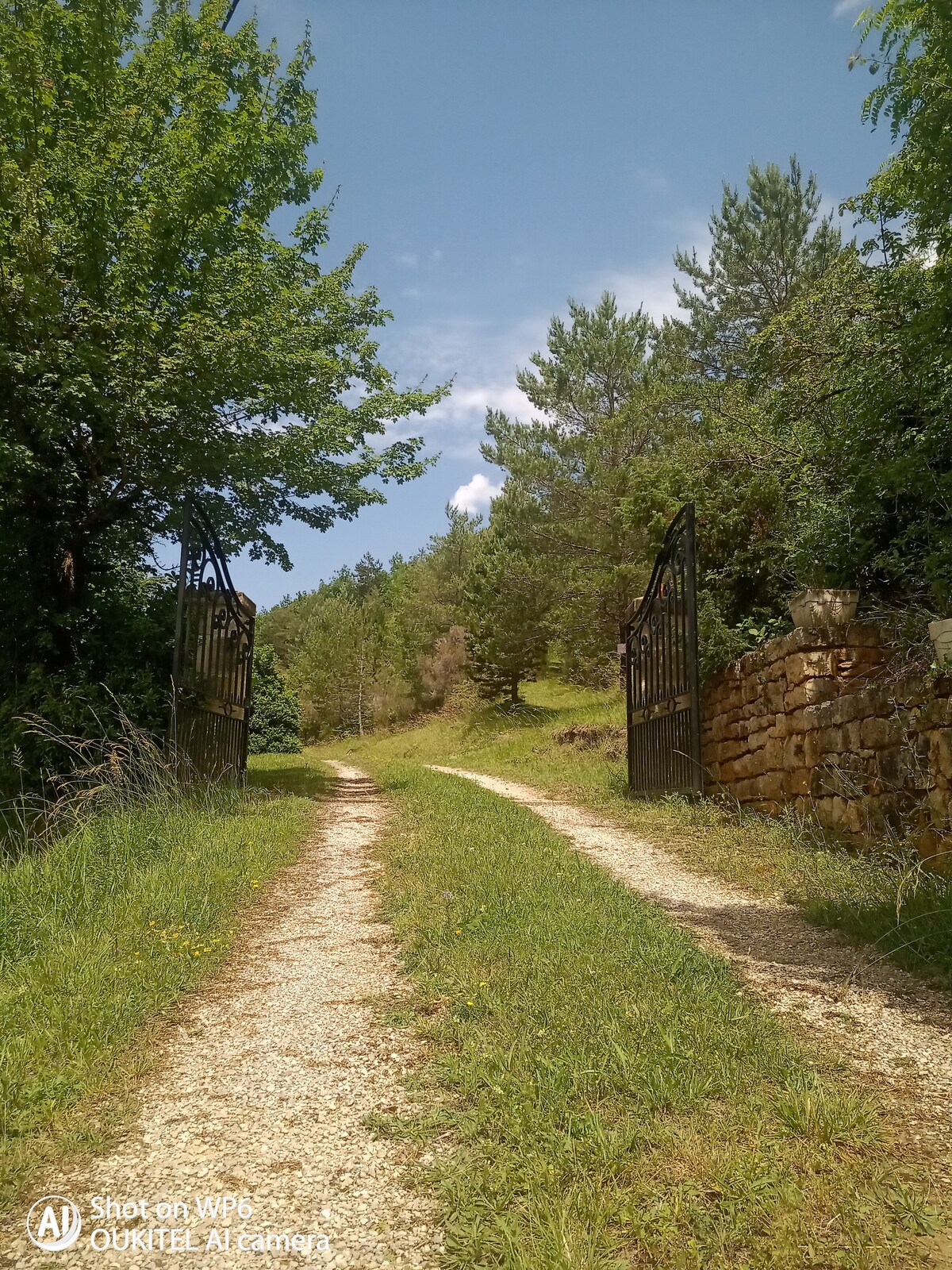 Charmant gîte avec piscine et terrain forestier