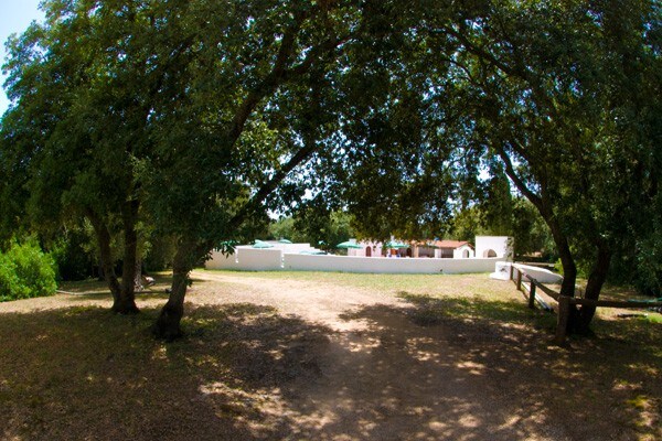 BOSCO DI MUDONATO DEPENDANCE NEL BOSCO