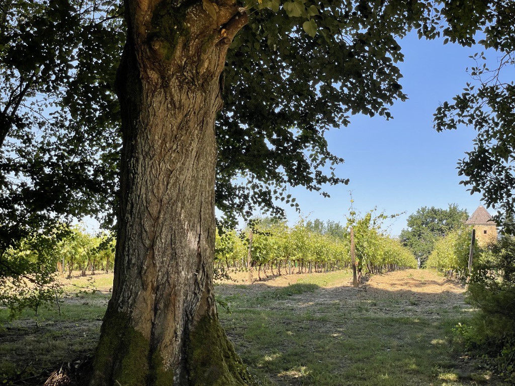 Nogaro à 10 mn Maison de famille pleine de charme