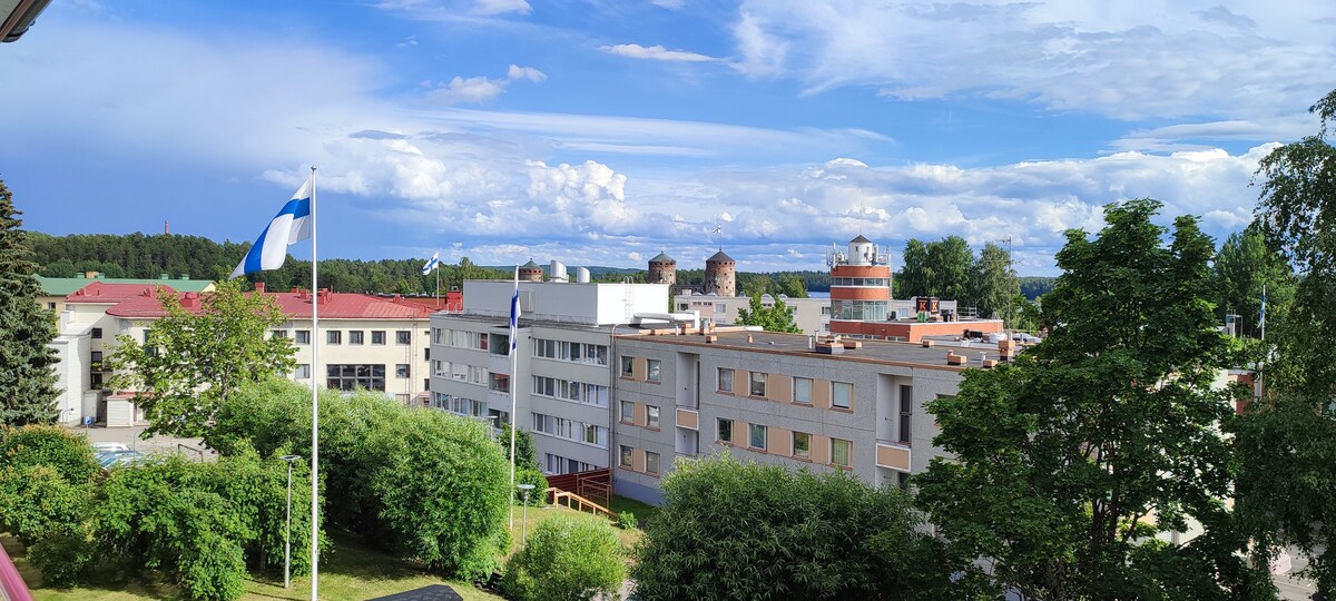 Views over central Savonlinna