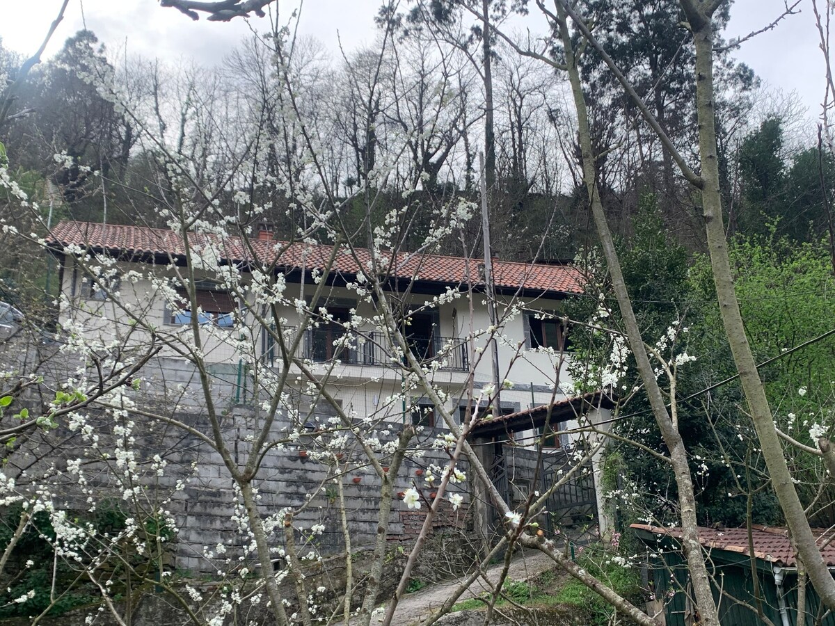Casa Rural Santa Cruz-Mieres