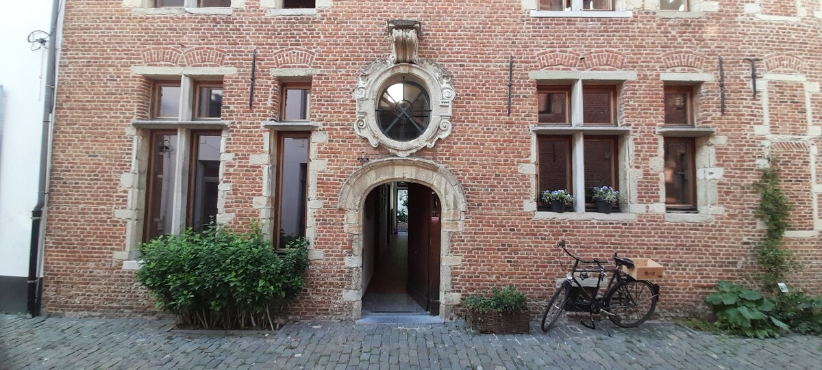 公寓很漂亮，位于传统房屋内， Mechelen ！