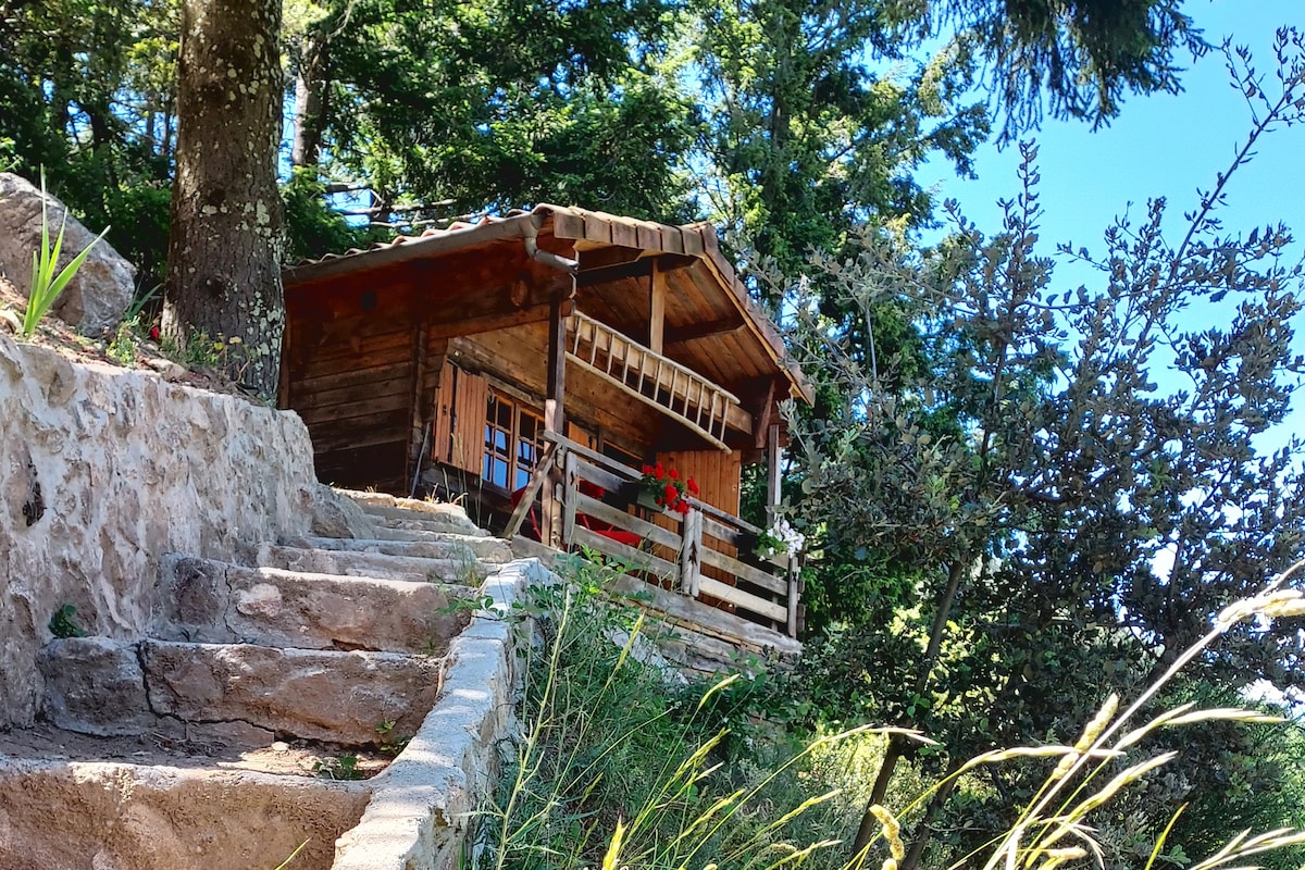 Adorable chalet au cœur de l'Ardèche