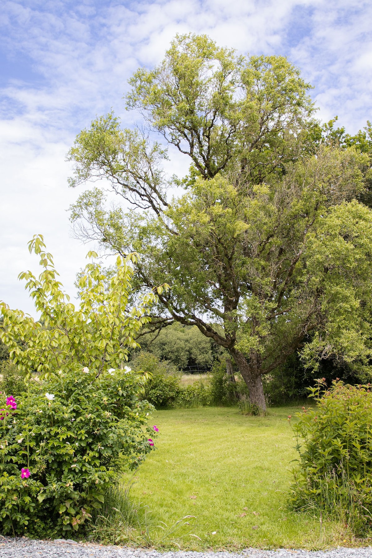 Batney Farm Cottage in peaceful Devon location