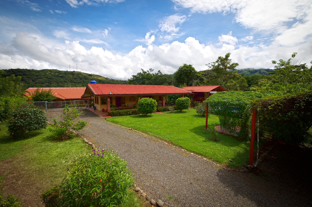 Tropical gem, two bedrooms and a private pool.