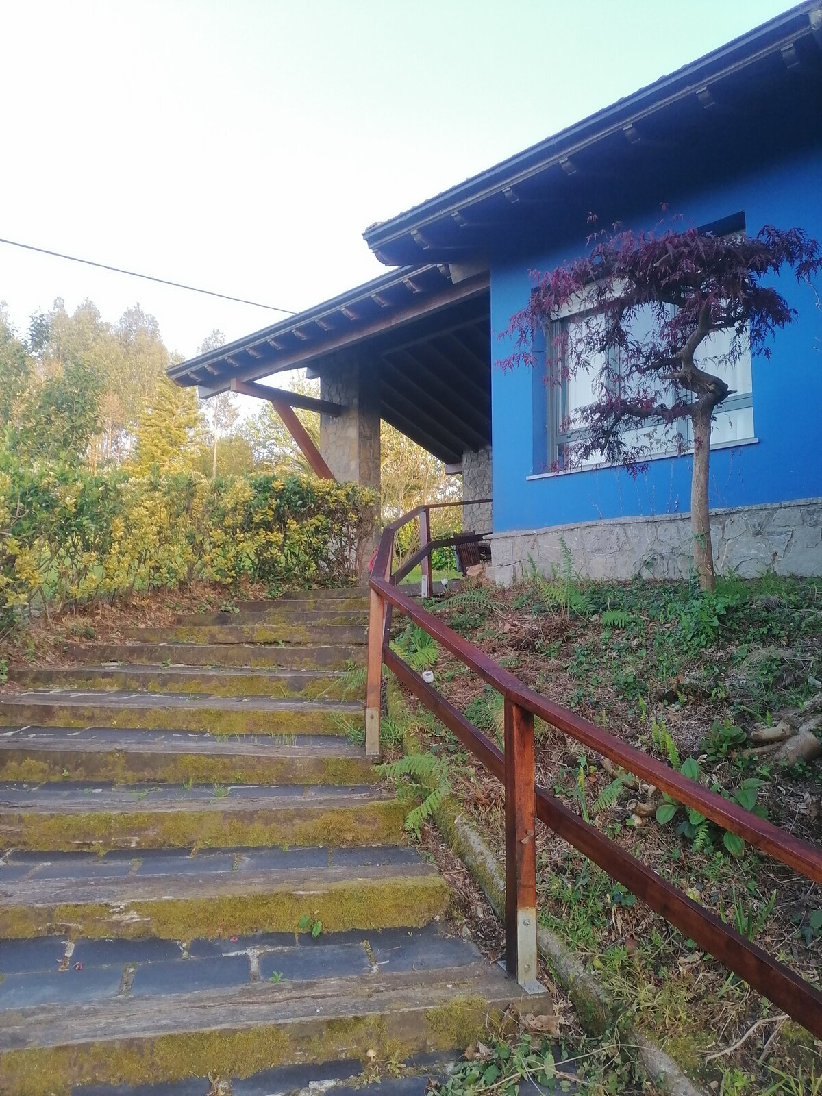 La casa azul de Lua: Un lugar mágico