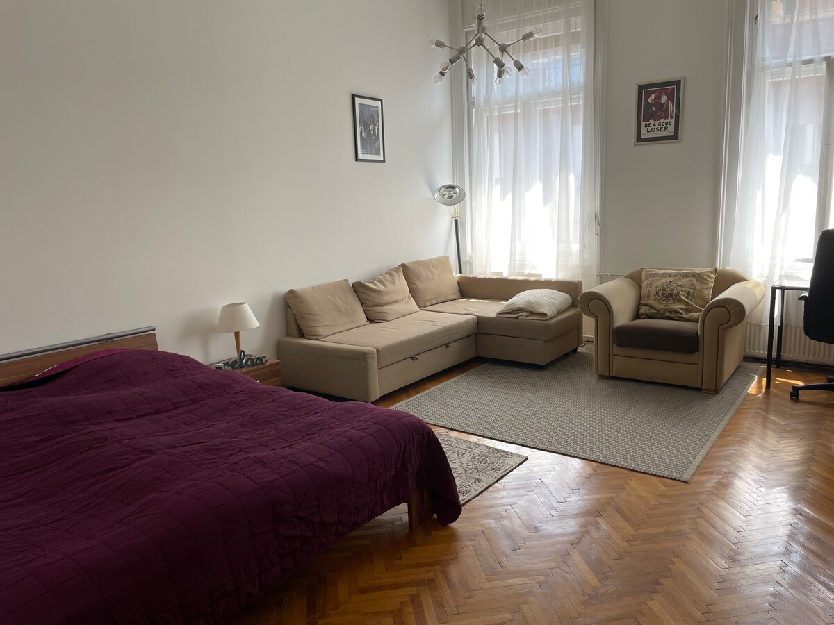 布达佩斯市中心的舒适公寓