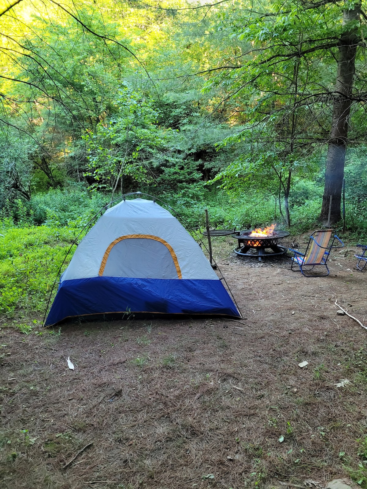 Camp Karuga Tent Site #2: Single Family Creek Side