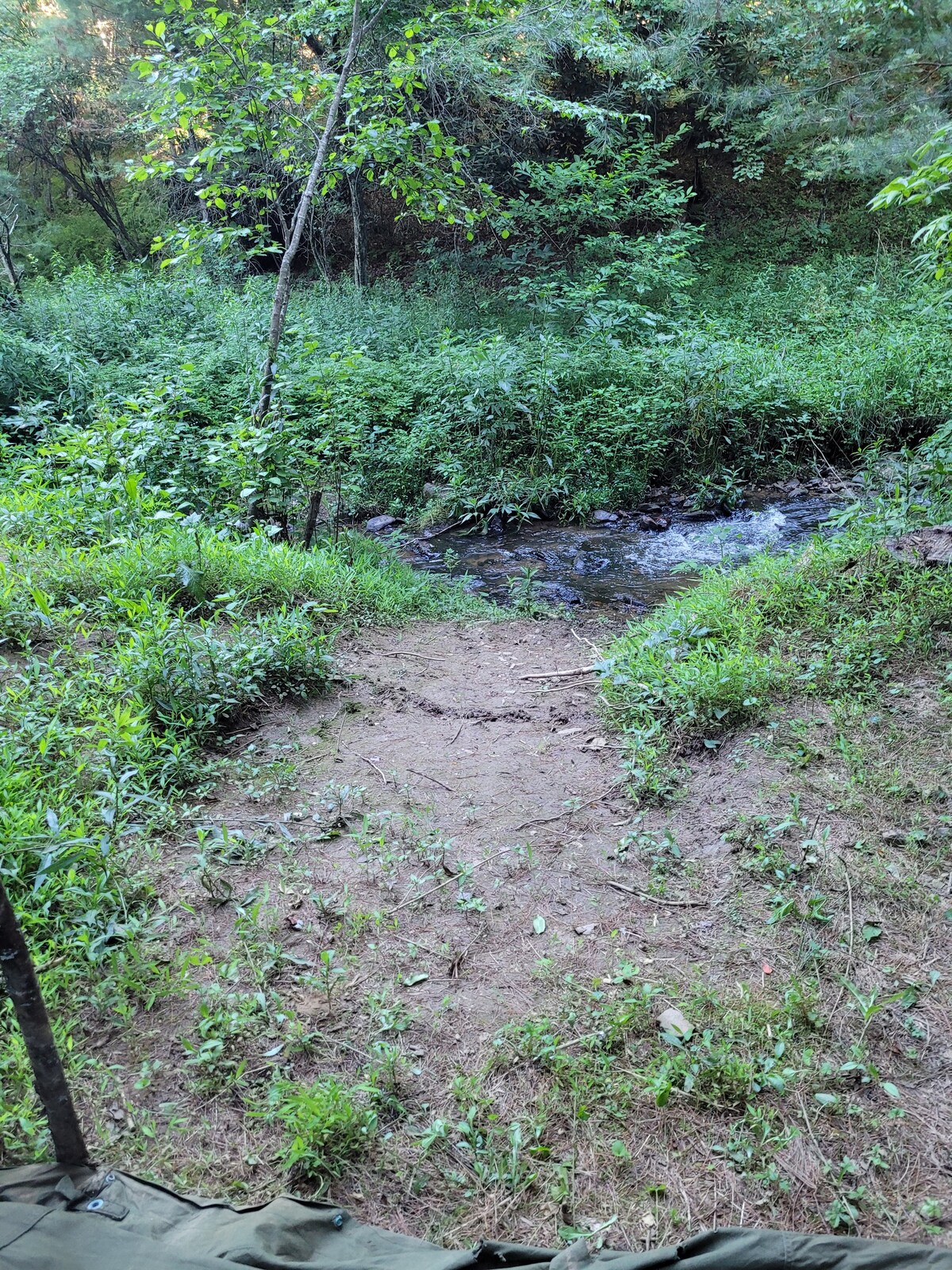 Camp Karuga Tent Site #2: Single Family Creek Side