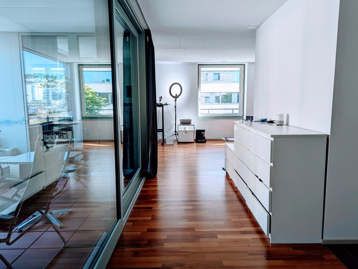 Lil 'Luxury Zurich Loft ，内政厅