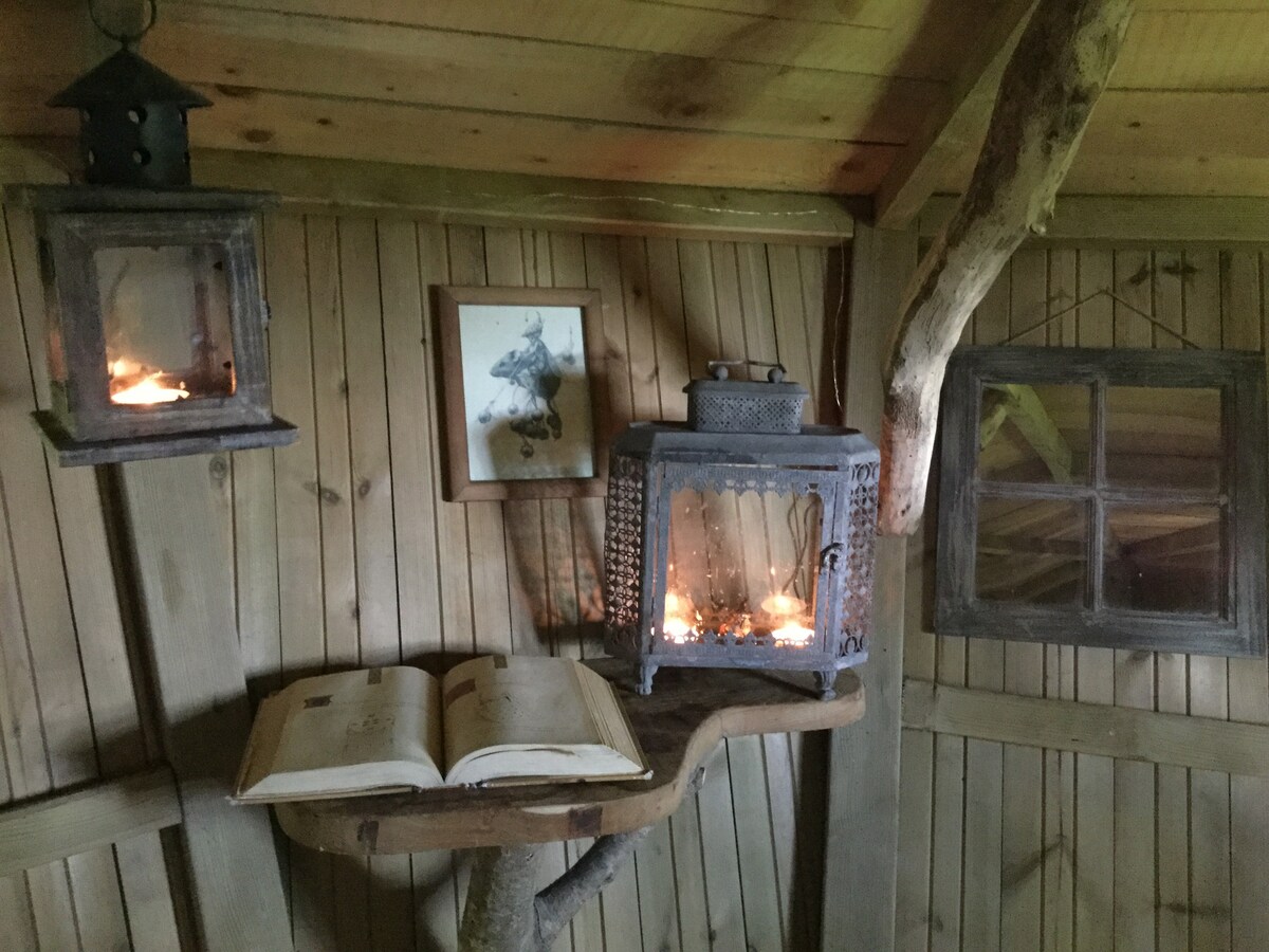 Manoir de l'Alleu - Cabane des Elfes