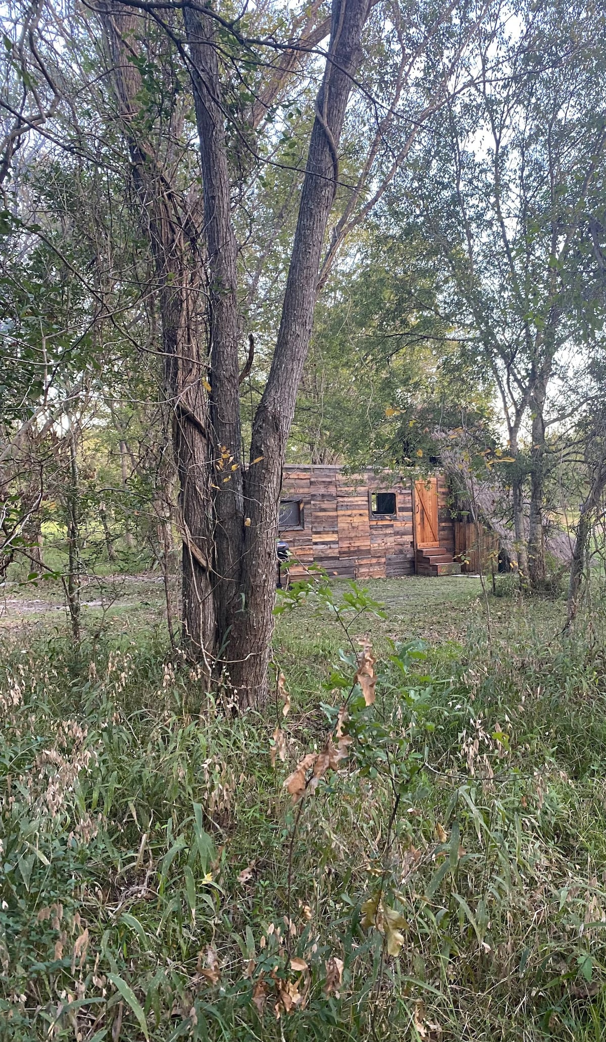 Cabin 1 - Remote cabin next to Sam Houston Park