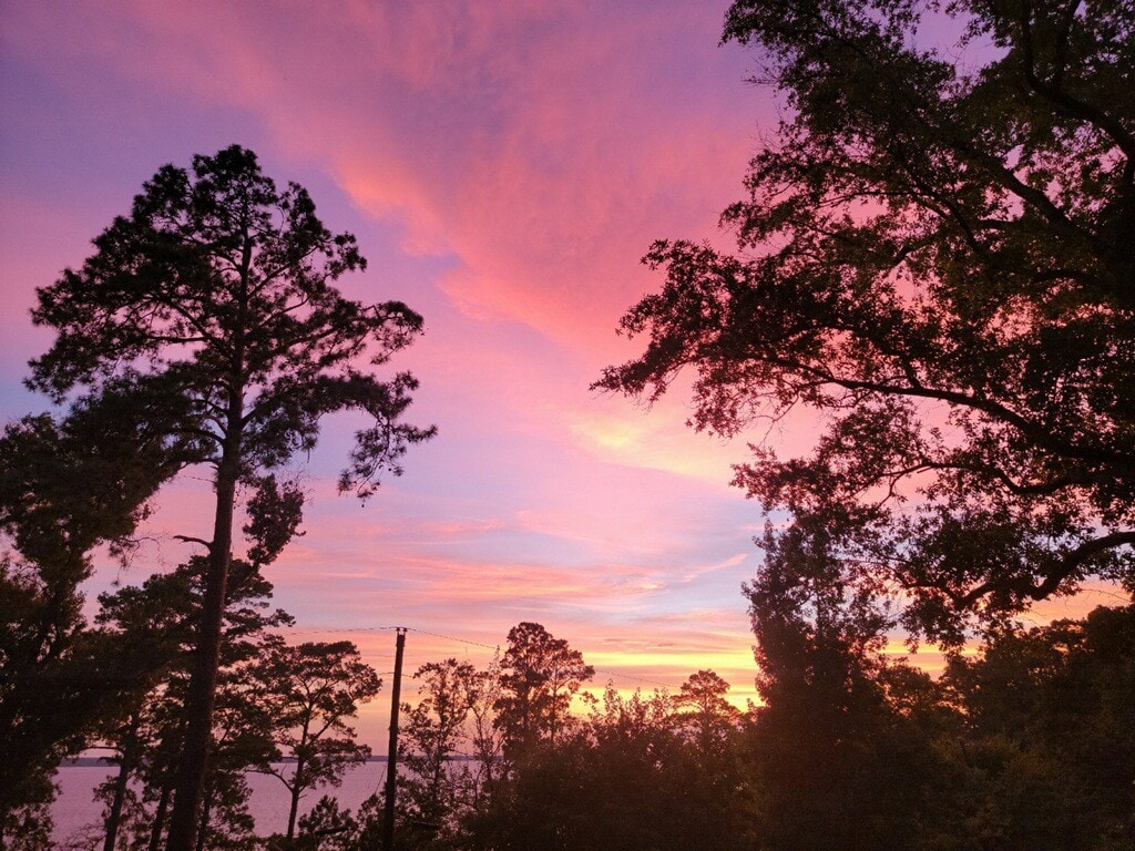 Lake Escape on Sam Rayburn