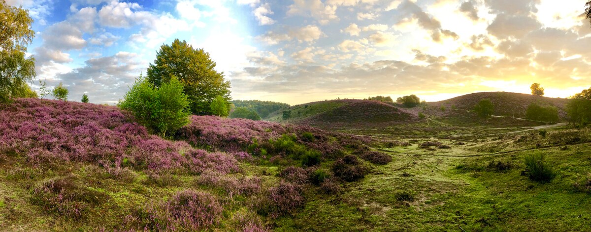 Huis met sauna, nabij Posbank, Veluwe, Deelerwoud