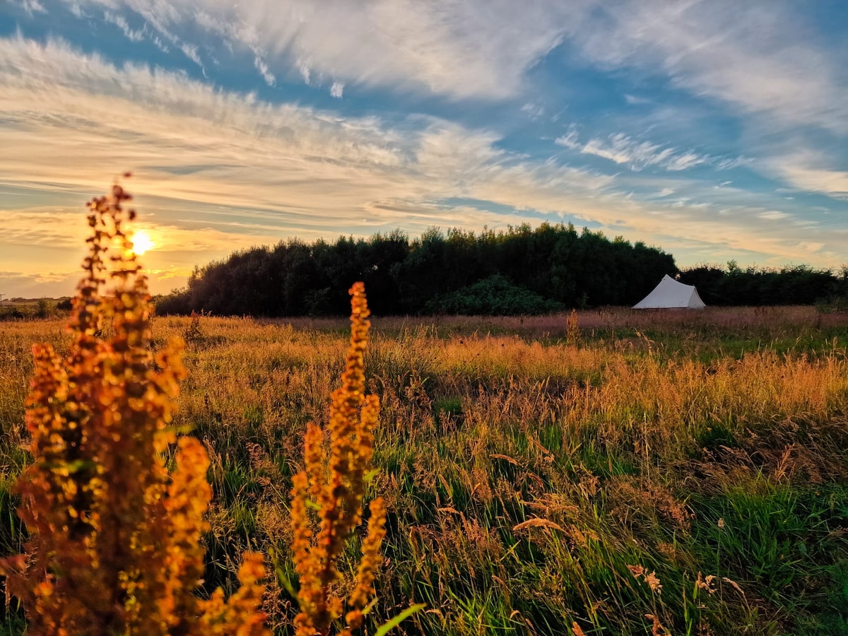 Brynderi - private Glamping experience up to 12ppl