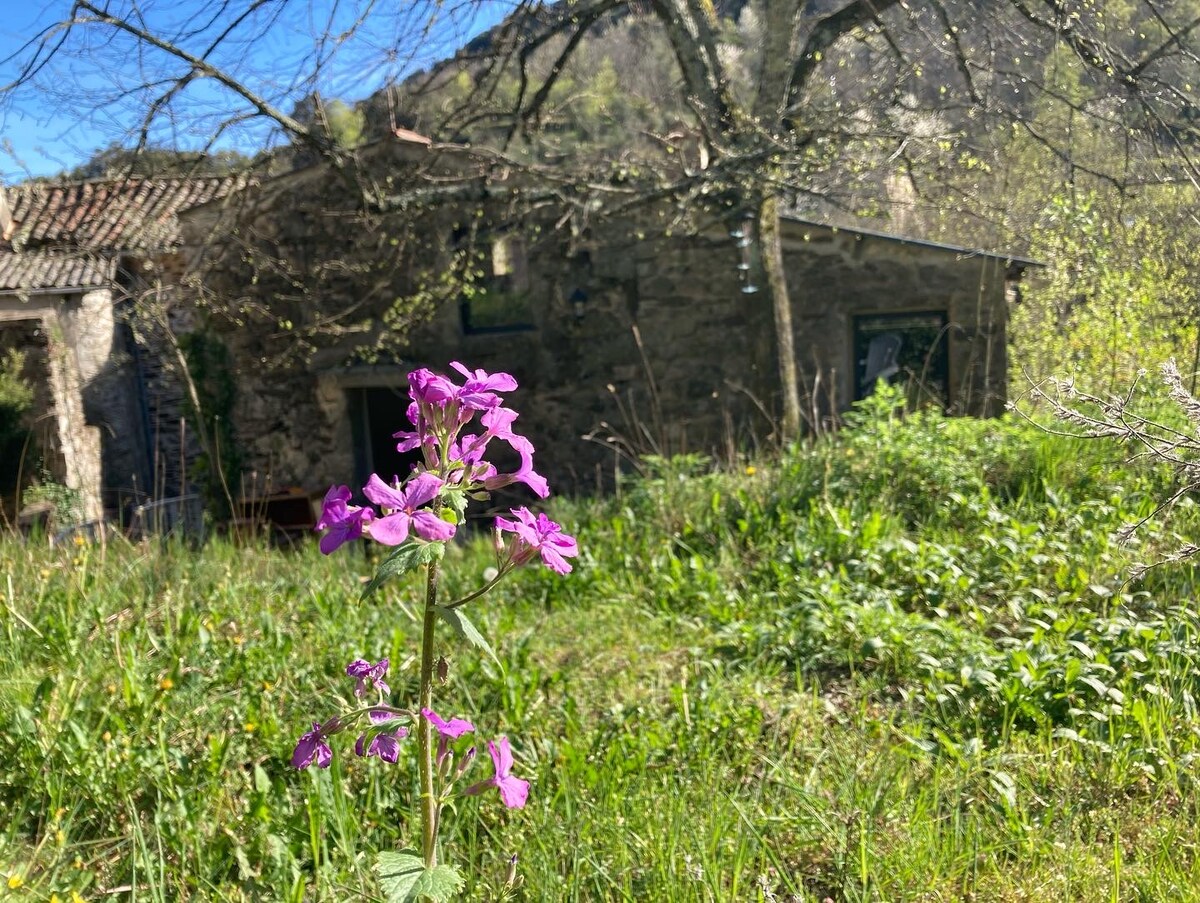 Cévennes Joli石头迷宫提醒