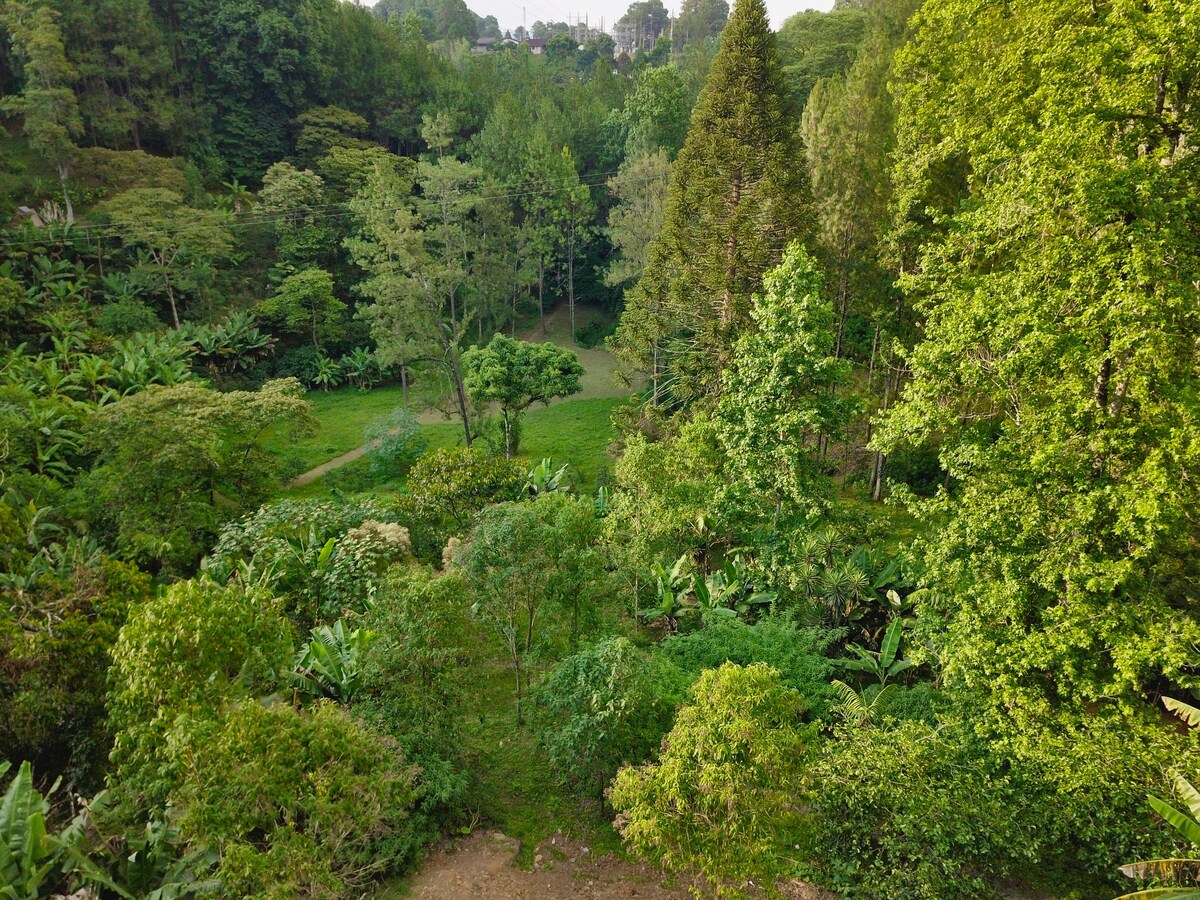 带热水浴缸和自然保护区的豪华小木屋 🍃