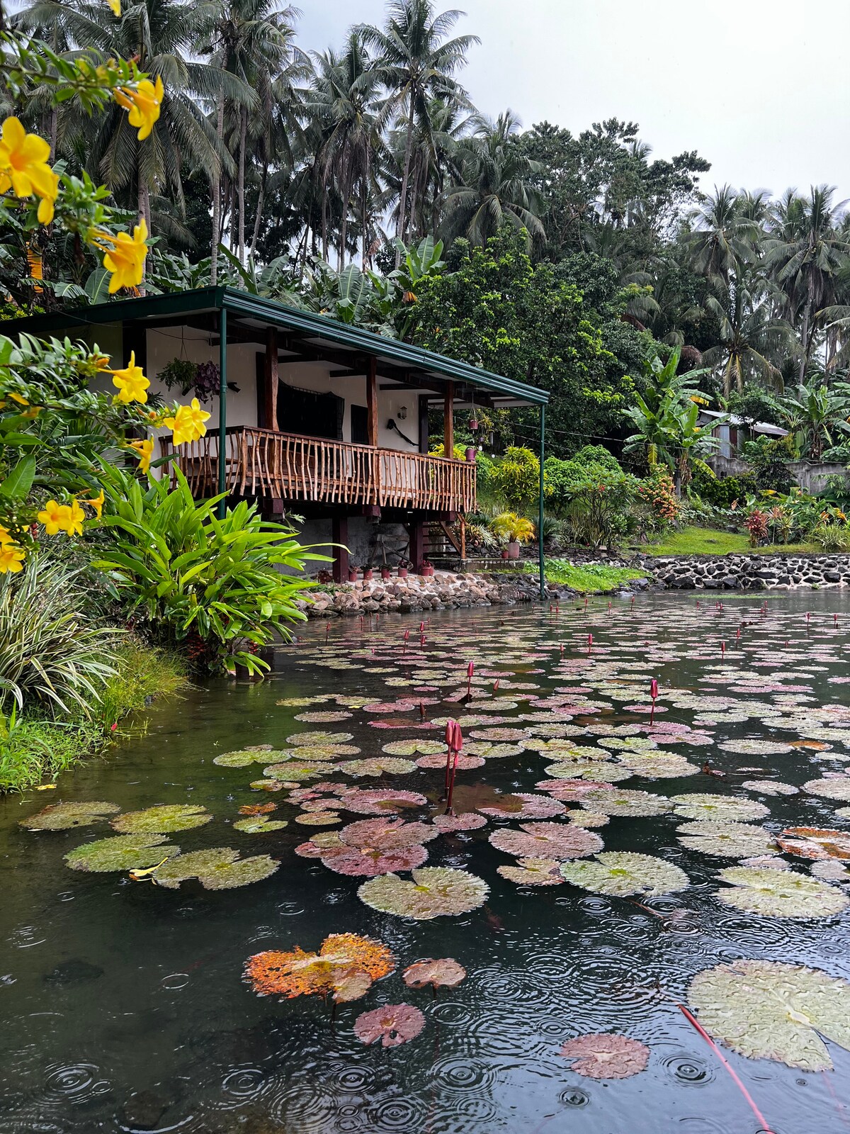 Nancy‘s Fishpond Cabin