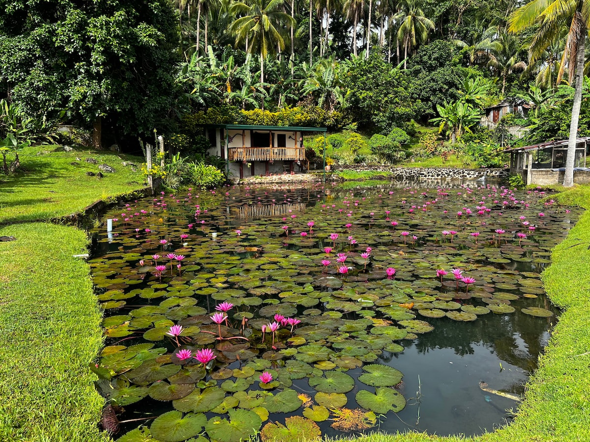 Nancy‘s Fishpond Cabin