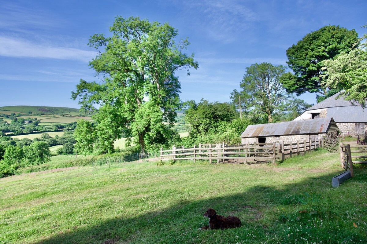 Yellands Farm Dartmoor Glamping - Home Bewdown