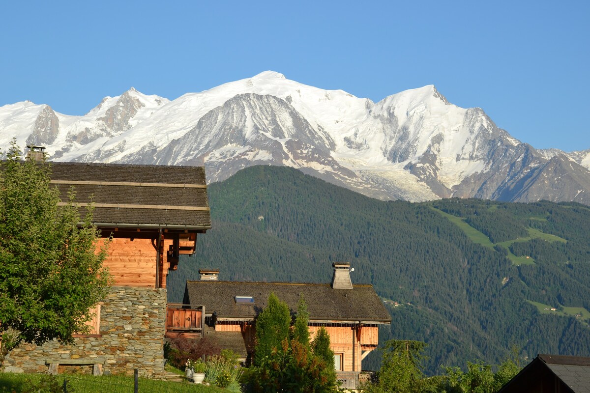 Superbe appartement  dans chalet, vue Mont Blanc.