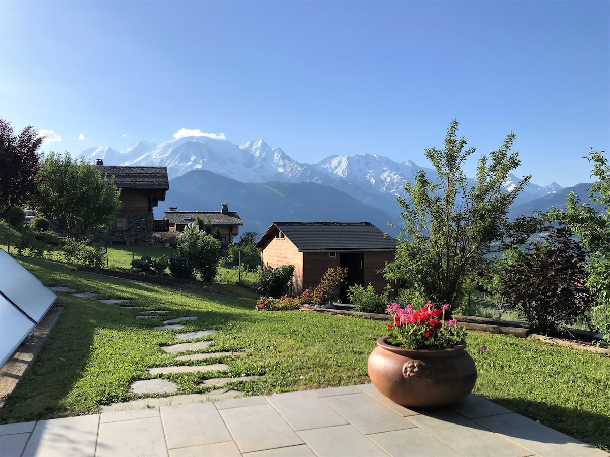 Superbe appartement  dans chalet, vue Mont Blanc.