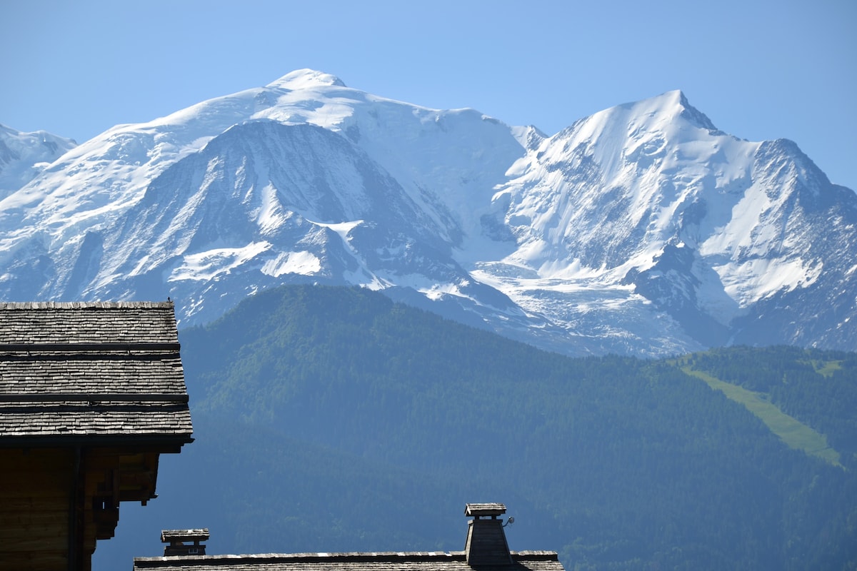 Superbe appartement  dans chalet, vue Mont Blanc.