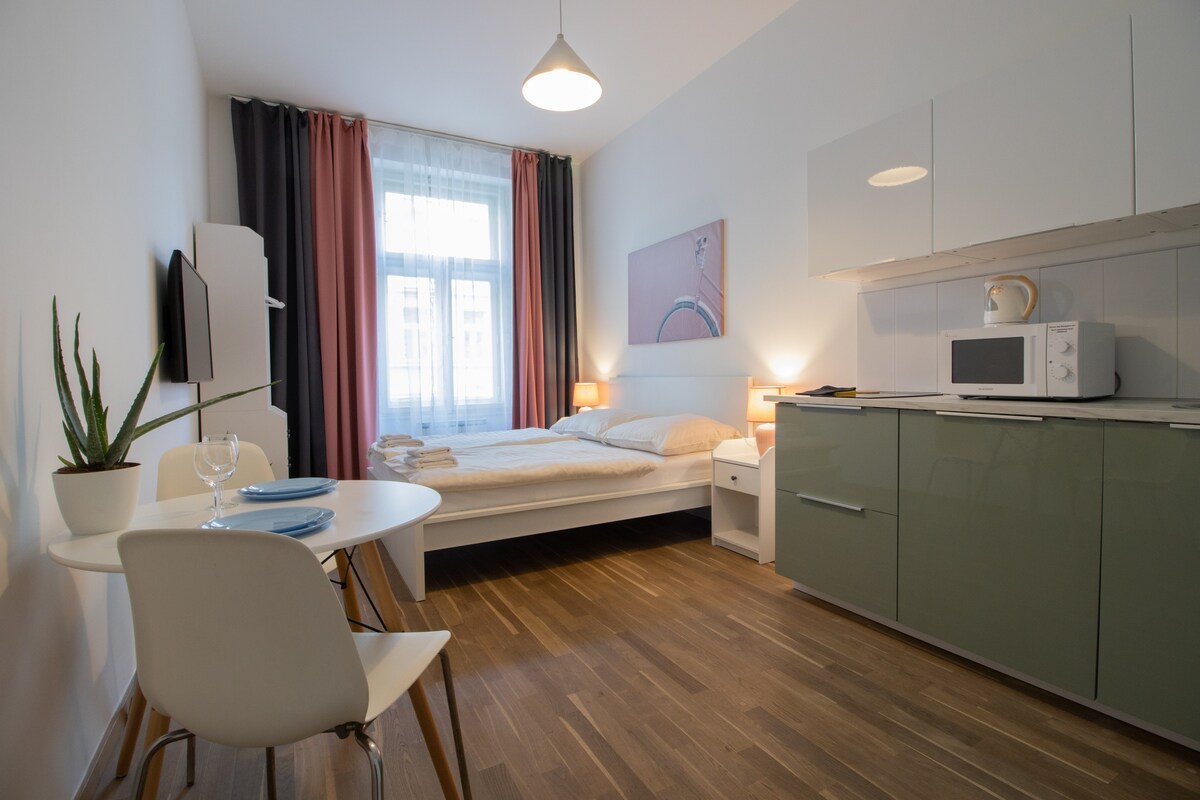 Cute studio near Letna park - close to the centre