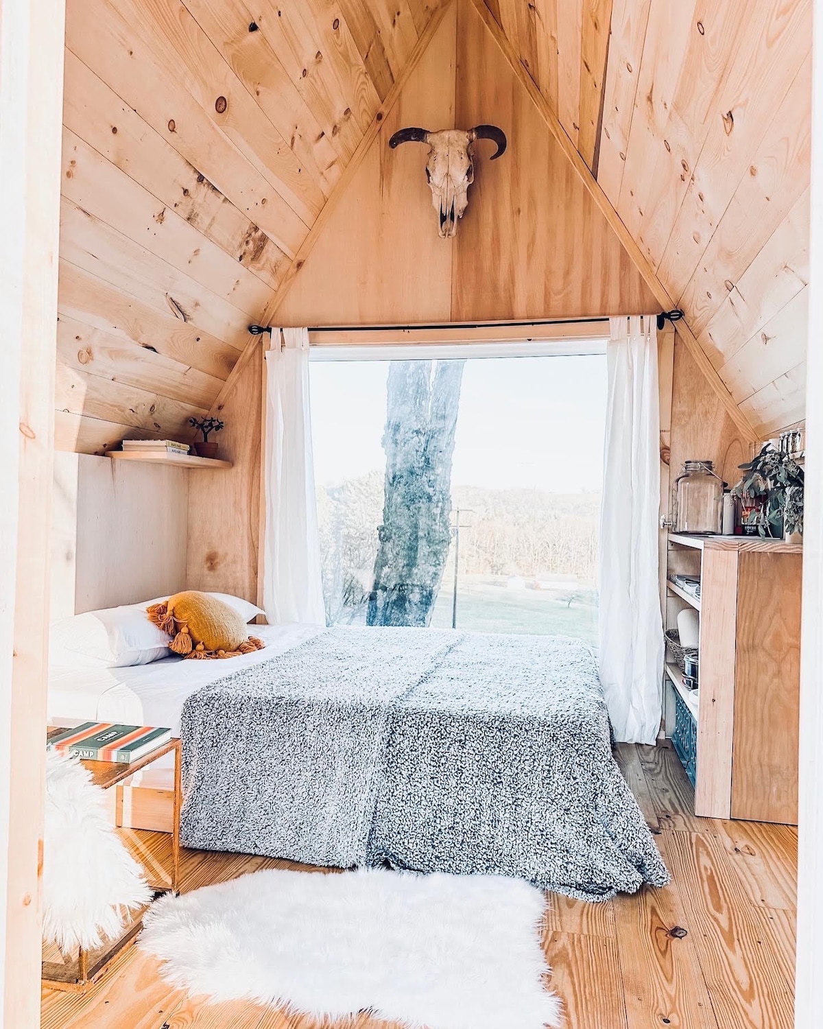 Tiny like “A” frame cabin with alpacas