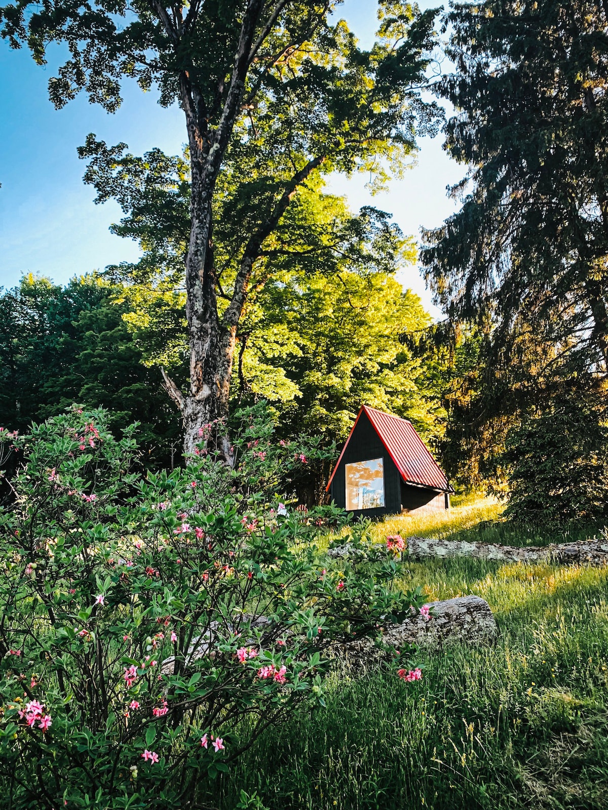 Tiny like “A” frame cabin with alpacas