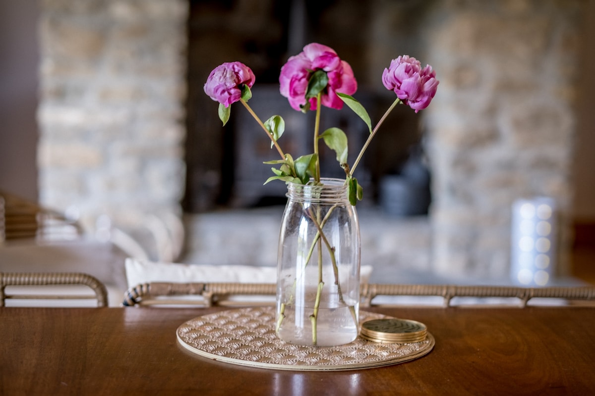 Water and Wildwood - The Bothy Cottage