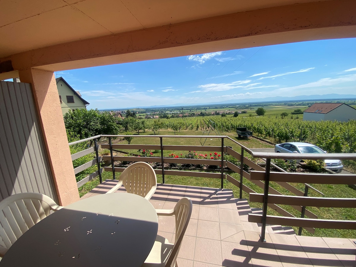 Gîte Du Vignoble avec vue sur la plaine d'Alsace