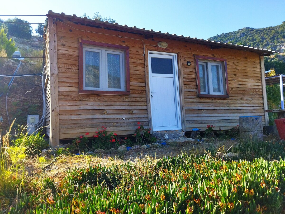 Yediburunlar Pavlonya Çift Kişilik Bungalow