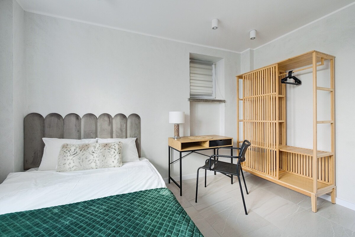 豪华斯堪的纳维亚风格3卧室公寓