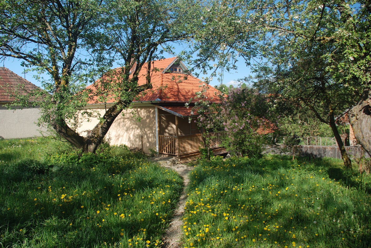 Birdsong Cottage -宁静的乡村度假胜地