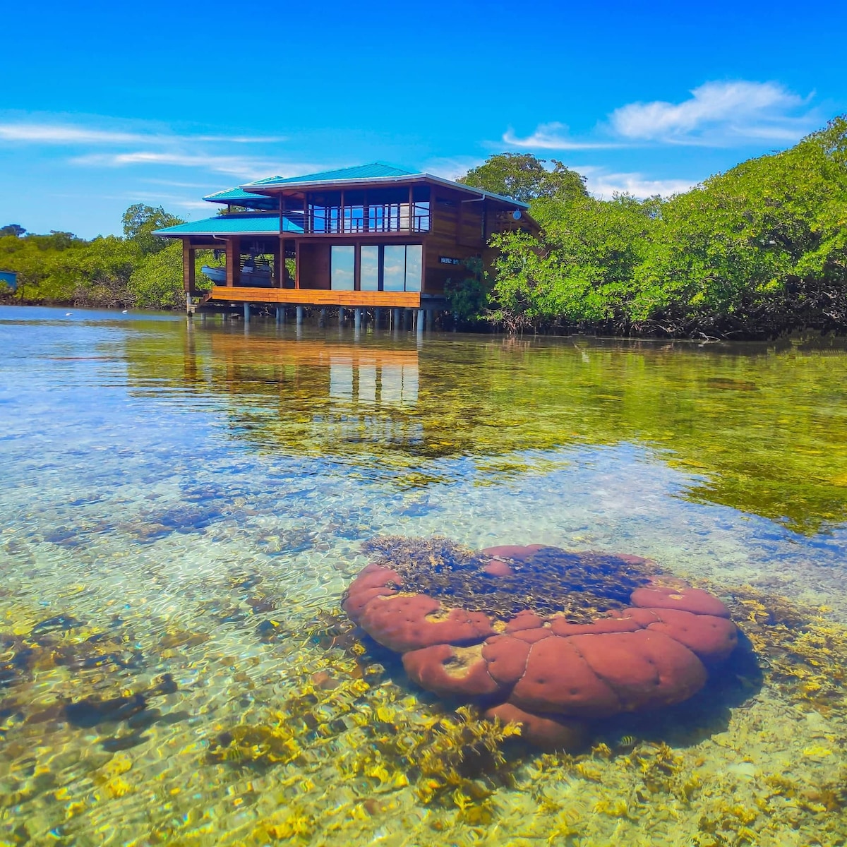 Overwater Accommodation-Bahia Coral-Bocas del toro