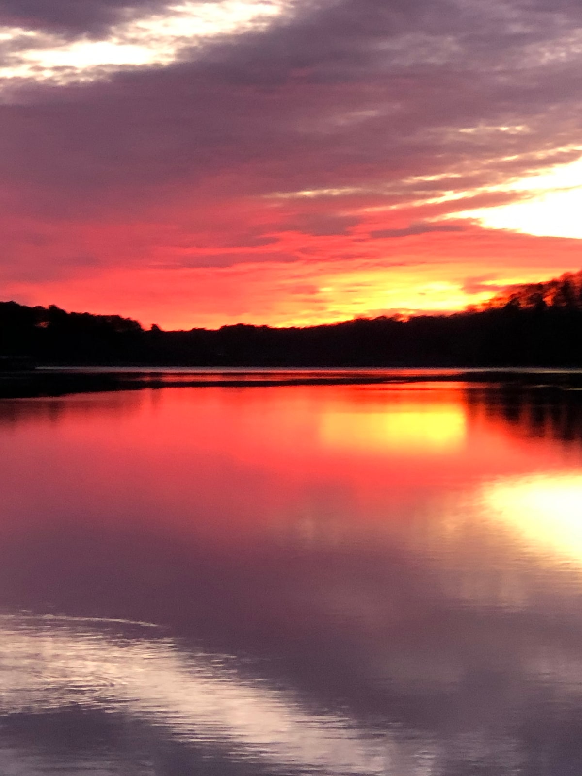 One Particular Cove ... on Lake Hartwell