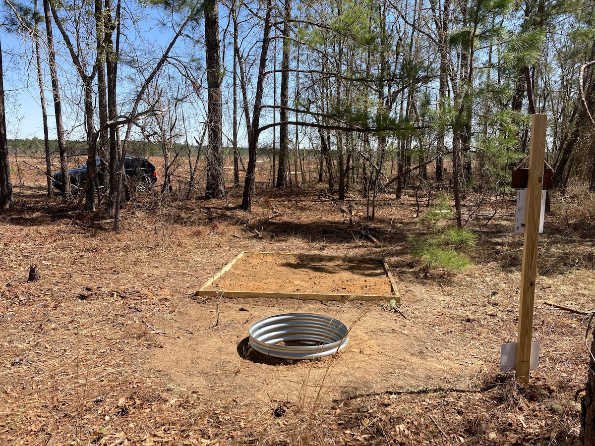 Carolina Piney Woods -fire pit, tent pad & hammock