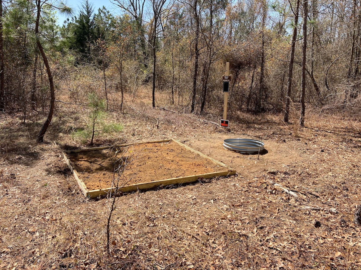 Carolina Piney Woods -fire pit, tent pad & hammock