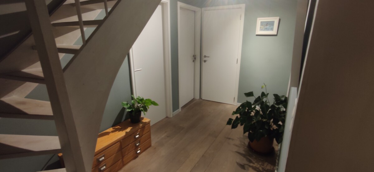 Room (attic) - shared bathroom near Tomorrowland